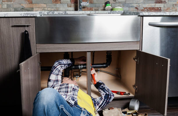 Best Clogged Drain Plumber  in Johnston, IA