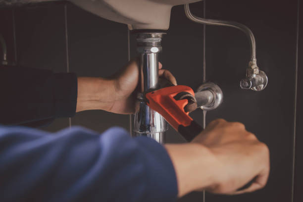 Best Plumbing Services Near Me  in Johnston, IA